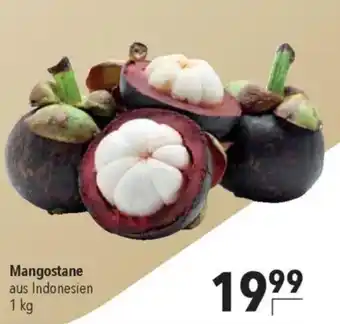 CITTI Markt Mangostane Angebot