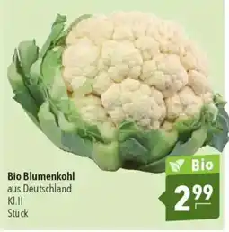 CITTI Markt Bio Blumenkohl Angebot