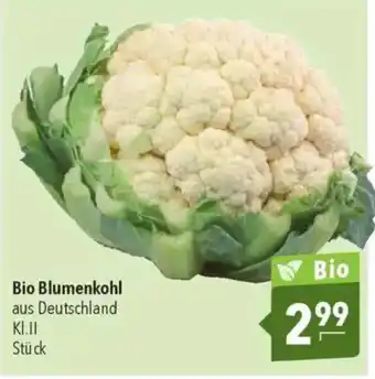 CITTI Markt Bio Blumenkohl Angebot