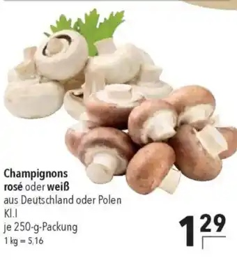 CITTI Markt Champignons rosé oder weiß Angebot