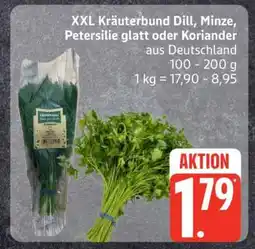 Edeka XXL Kräuterbund Dill, Minze, Petersilie glatt oder Koriander Angebot