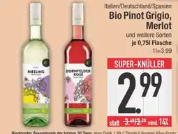 Edeka Bio Pinot Grigio, Merlot Angebot