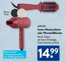 Aldi Süd AMBIA Ionen-Haartrockner oder Warmluftbürste Angebot