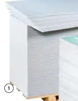 BayWa Knauf Ausbauplatte Greenboard Angebot