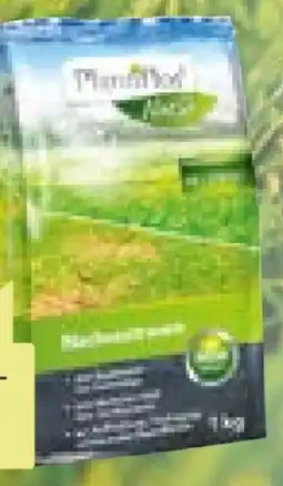BayWa Plantiflor Nachsaatrasen Angebot