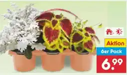 Netto Marken-Discount Herbst-Mix Angebot