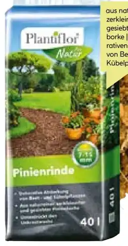 BayWa Plantiflor Pinienrinde Angebot