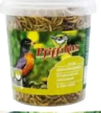 BayWa Pfiffikus Mehlwürmer Angebot