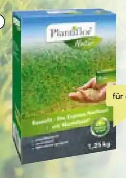 BayWa Plantiflor Rasennachsaat Rasenfit Express Angebot