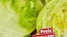 PENNY Marktliebe Eisbergsalat Angebot