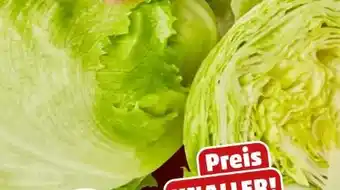PENNY Marktliebe Eisbergsalat Angebot