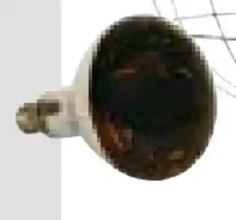 BayWa Kerbl Infrarot-Leuchtmittel Angebot