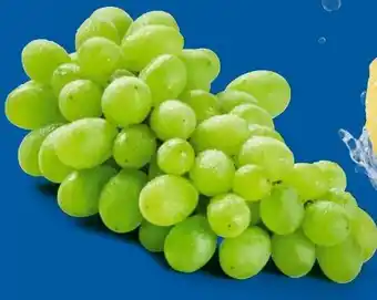 Lidl Trauben Angebot