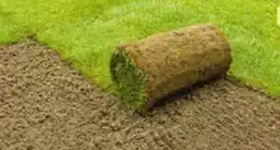 BayWa Plantiflor Rollrasen Premium Angebot