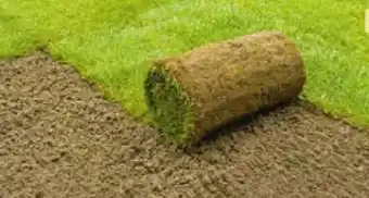 BayWa Plantiflor Rollrasen Premium Angebot