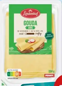 PENNY Lindenhof Gouda XXL Angebot