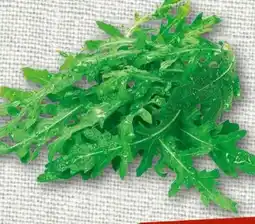nahkauf Rucola Angebot