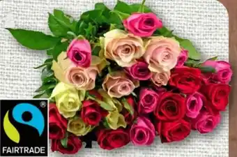 nahkauf Fairtrade Rosen Trio Angebot