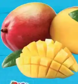 E-Center Mango Osteen Angebot