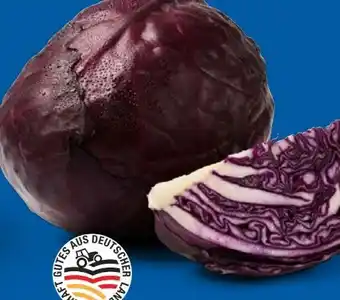 Lidl Rotkohl Angebot