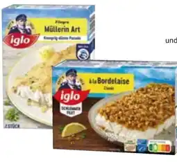 Edeka Iglo Goldknusperfilet Angebot