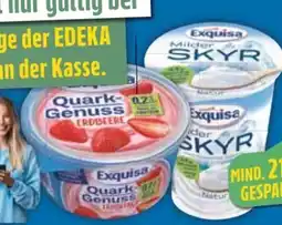 E-Center Exquisa Skyr Angebot