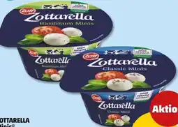 PENNY Zott Zottarella Minis Angebot