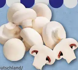 nahkauf Champignons Angebot