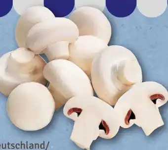 nahkauf Champignons Angebot