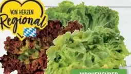 E-Center Salatspezialitäten Lollo Rosso Angebot