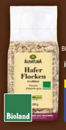 E-Center Alnatura Bio Hafer-Flocken Angebot