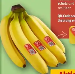 REWE Center Rewe Beste Wahl Bananen Angebot