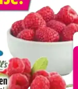 Edeka Driscoll's Himbeeren Angebot