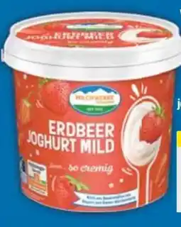E-Center Weideglück Joghurt Angebot