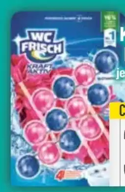 E-Center WC Frisch Kraft-Aktiv-Duftspüler Angebot