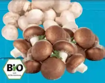 E-Center Bio-Champignons Angebot