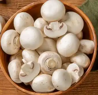 REWE Center Champignons Angebot