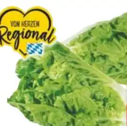 Edeka Mini-Romanasalat Angebot