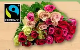 REWE Center Fairtrade Rosen Trio Angebot