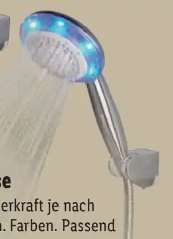 Lidl Livarno Home LED-Handbrause Angebot