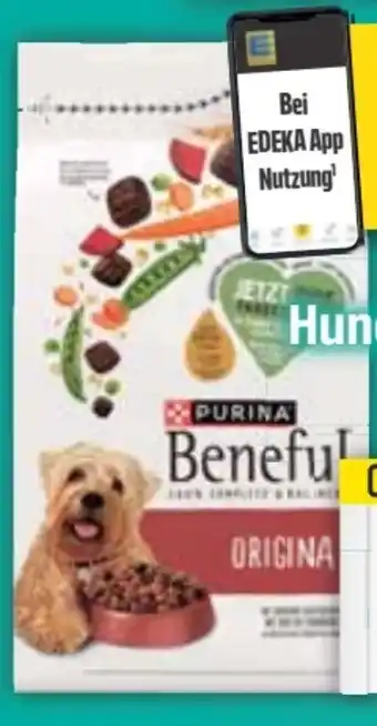 E-Center Purina Beneful Hundenahrung Angebot
