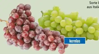 Edeka Xpress Edeka Herzstücke Tafeltrauben Angebot
