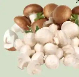 Edeka Xpress Bio-Champignons Angebot