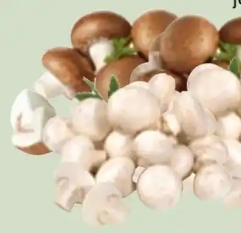 Edeka Xpress Bio-Champignons Angebot