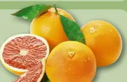 REWE Grapefruit Angebot