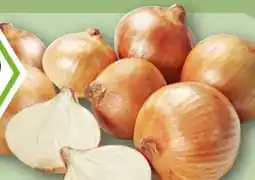 REWE Rewe Bio Bio-Speisezwiebeln Angebot
