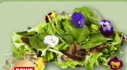 REWE Rewe Feine Welt Blütensalat Mix Angebot