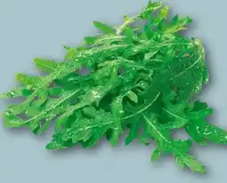 REWE Rucola Angebot