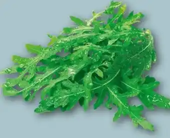 REWE Rucola Angebot