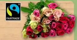 REWE Fairtrade Rosen Trio Angebot